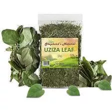 Uziza Leaves